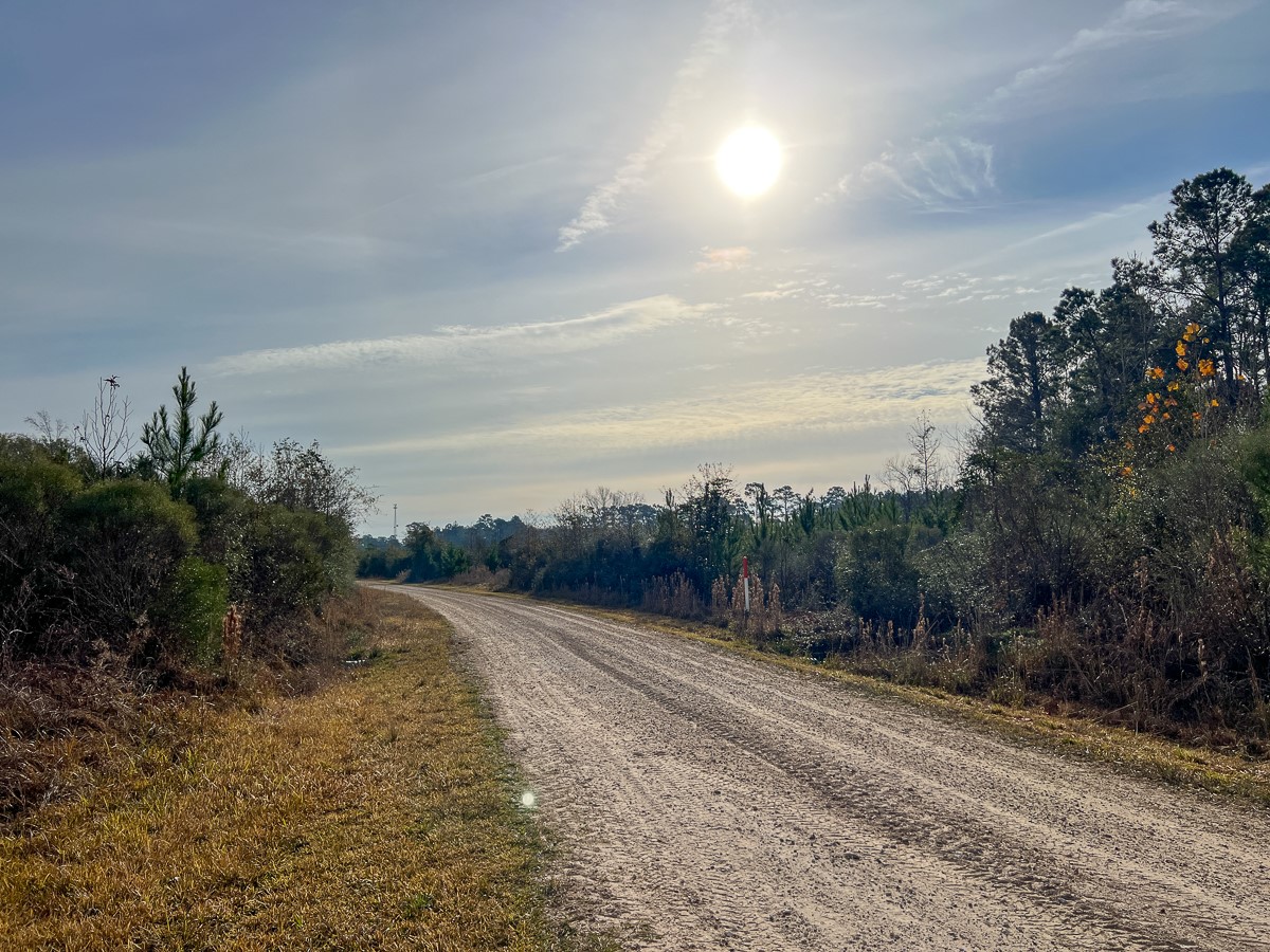 T-2 T-2 Tall Cotton Road Saratoga, TX 77585 - Photo 15 of 34
