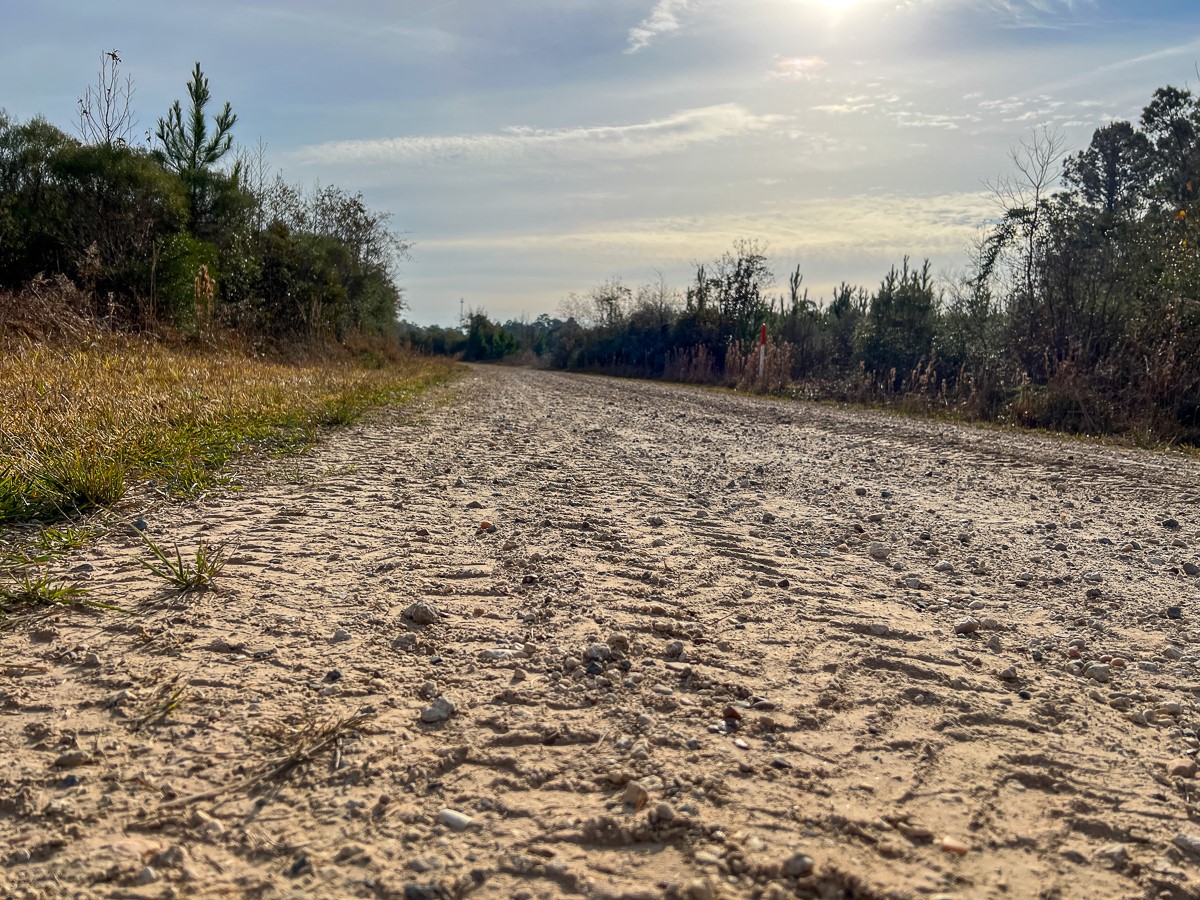 T-2 T-2 Tall Cotton Road Saratoga, TX 77585 - Photo 16 of 34