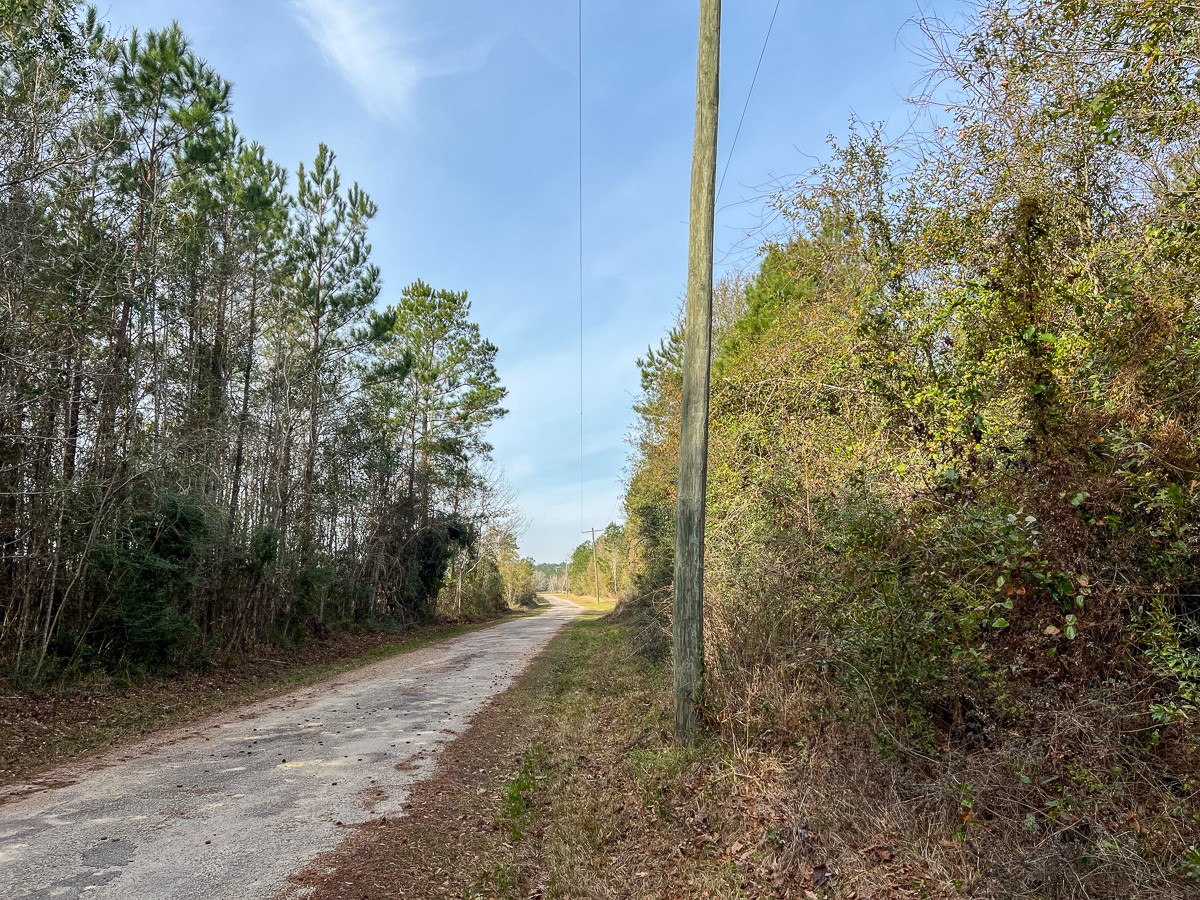 T-2 T-2 Tall Cotton Road Saratoga, TX 77585 - Photo 23 of 34