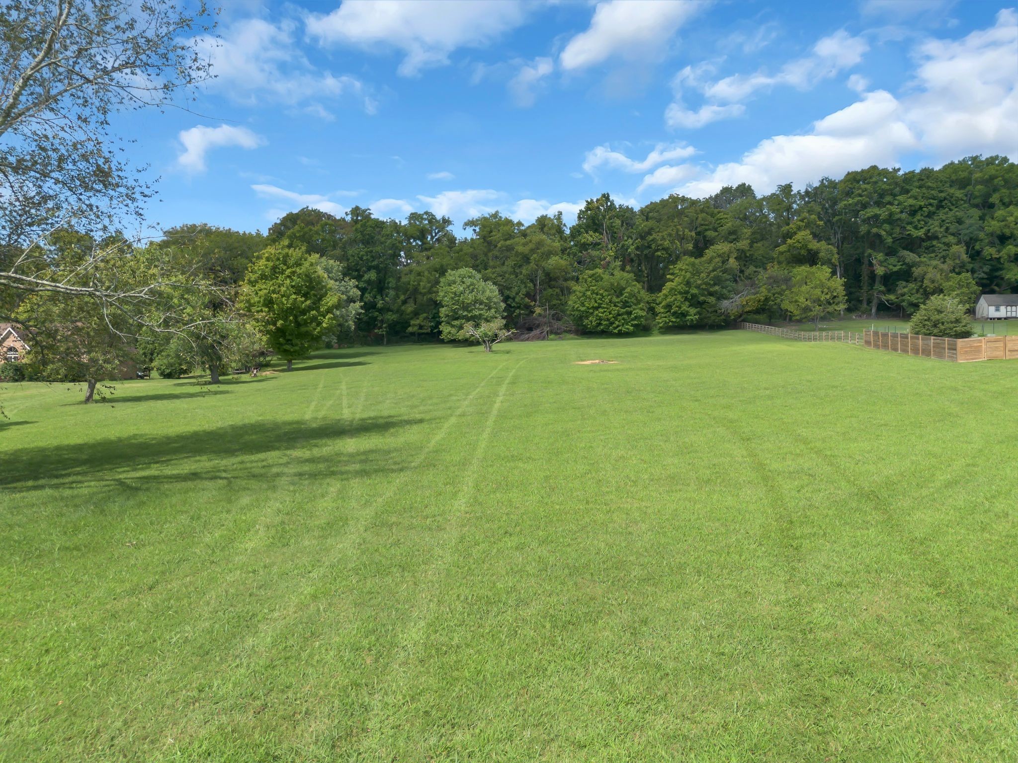 1863 Clara Mathis Road Spring Hill, TN 37174 - Photo 2 of 14 a view of a big yard with large trees