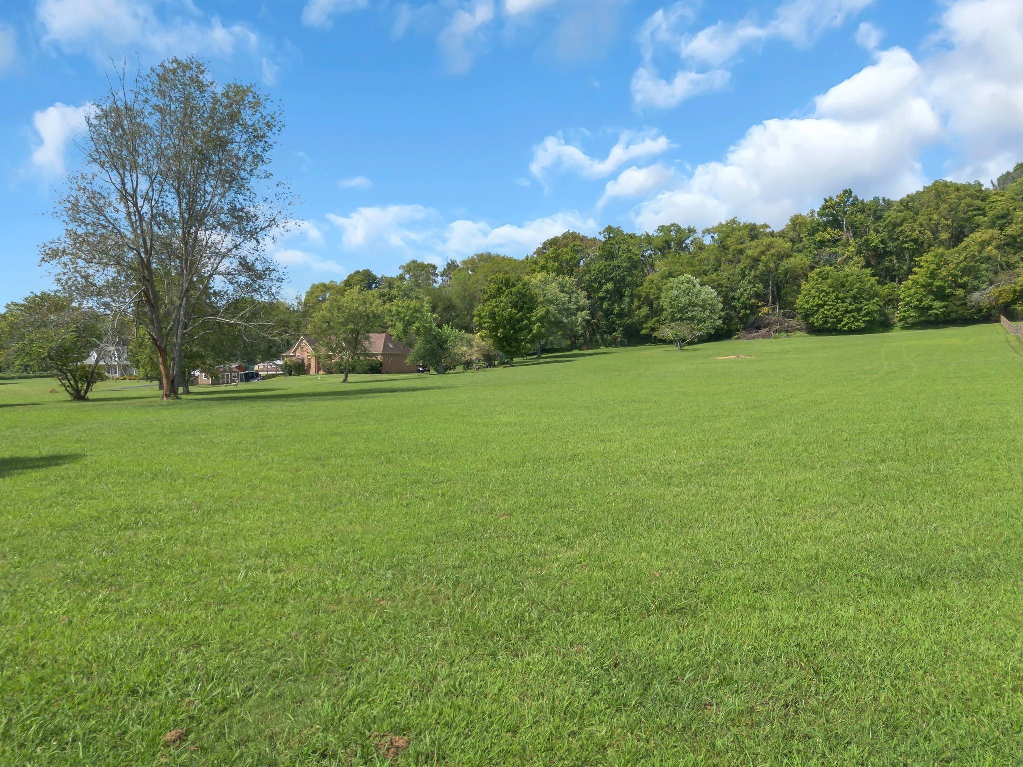 1863 Clara Mathis Road Spring Hill, TN 37174 - Photo 5 of 14 a view of a field with an trees