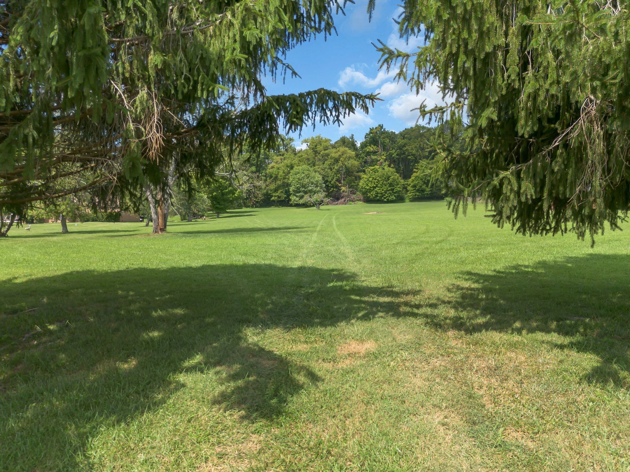1863 Clara Mathis Road Spring Hill, TN 37174 - Photo 9 of 14 a view of a field with a tree