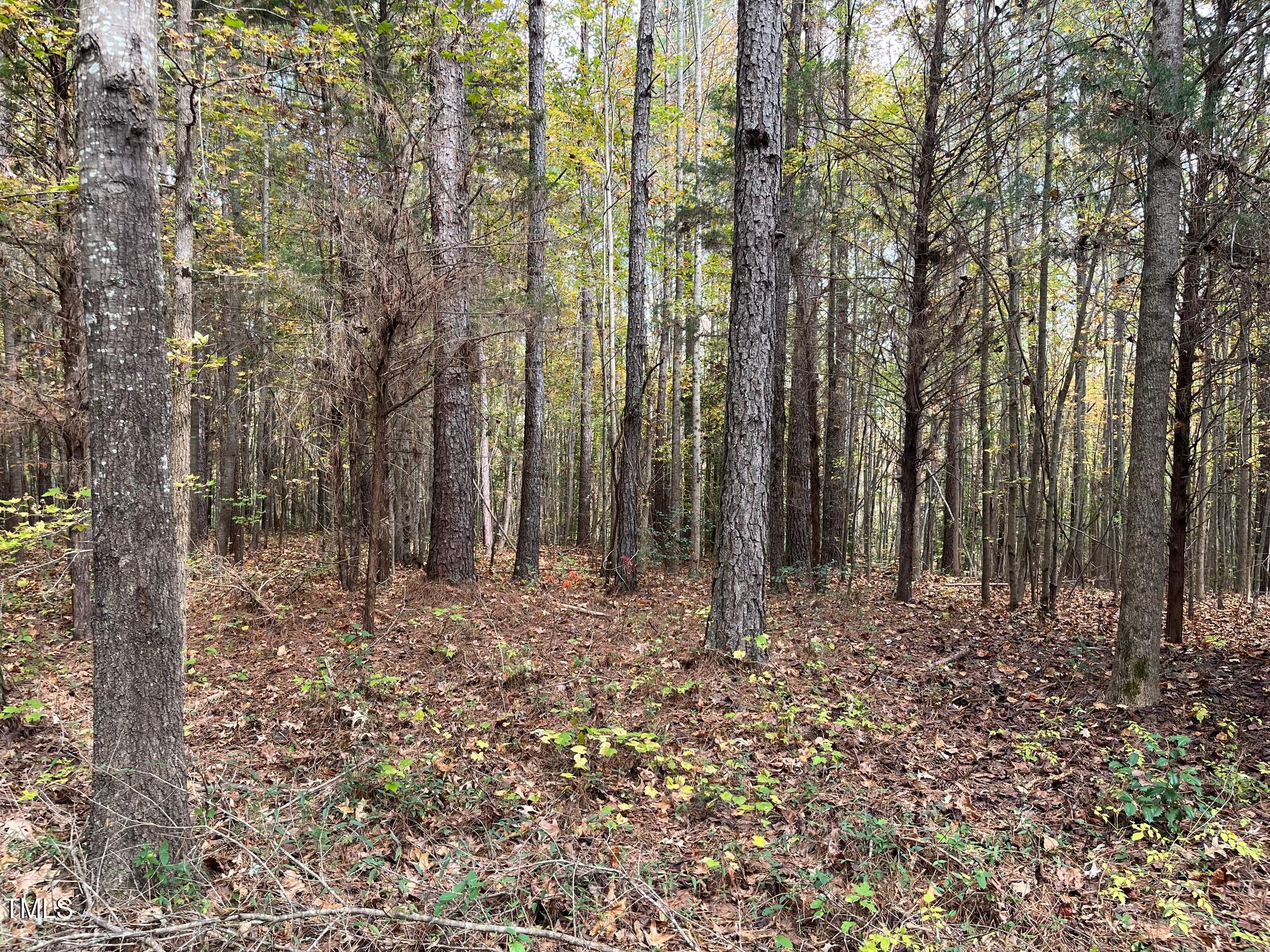 0 Hugh Davis Road Macon, NC 27551 - Photo 1 of 6 IMG_1709