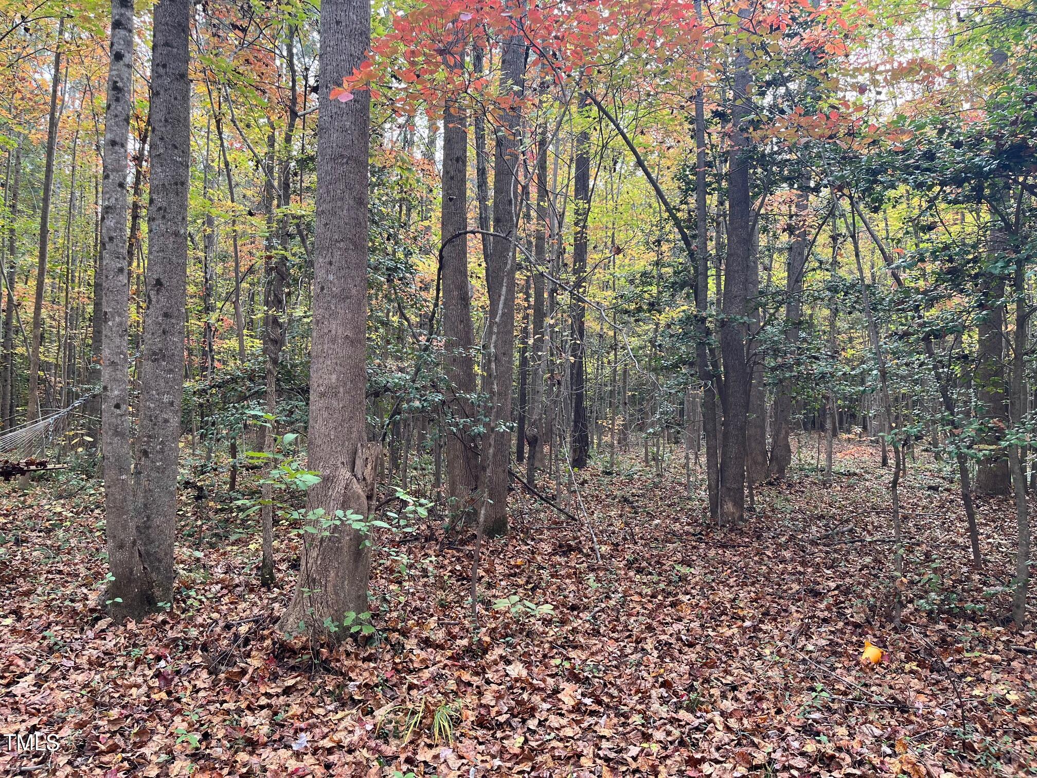 0 Hugh Davis Road Macon, NC 27551 - Photo 2 of 6 IMG_1699