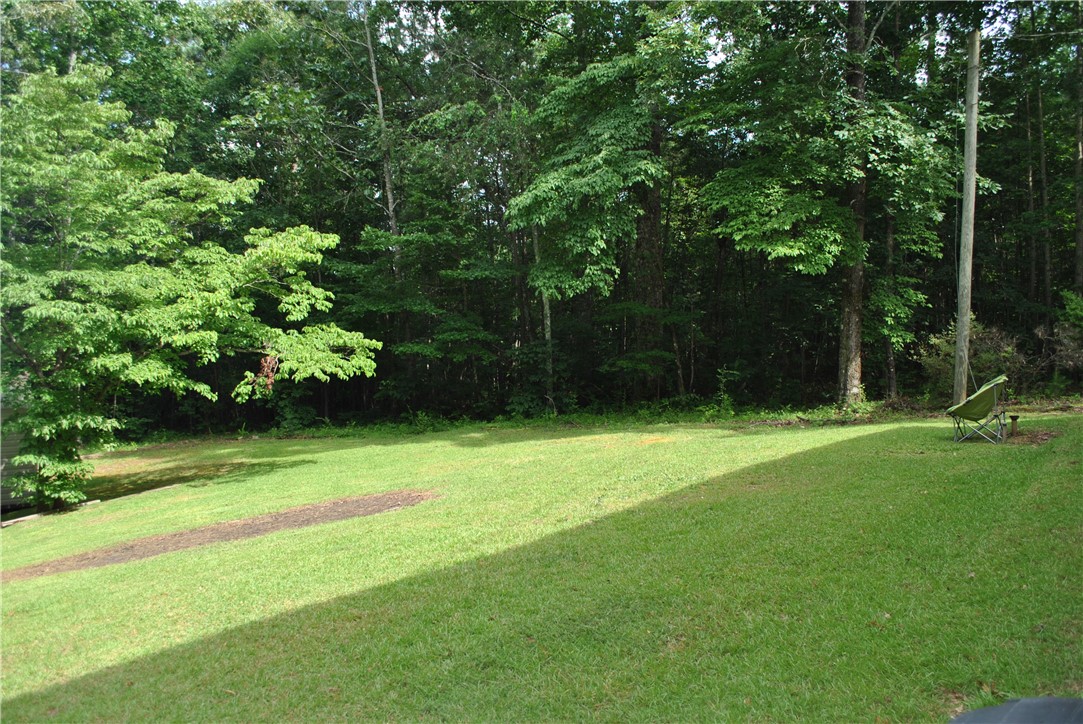 3020 Keowee School Road Seneca, SC 29672 - Photo 26 of 31 LOVE, LOVE, LOVE this back yard!