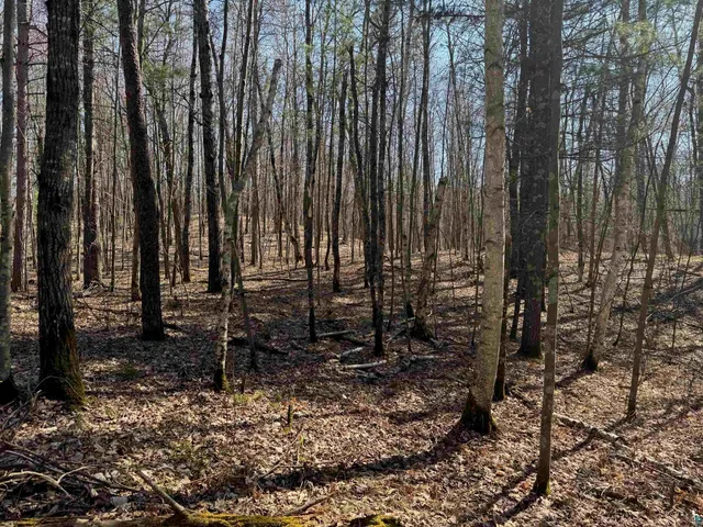 $39,900 | 5-acres On Spring Lake Road, Trego, WI 54888