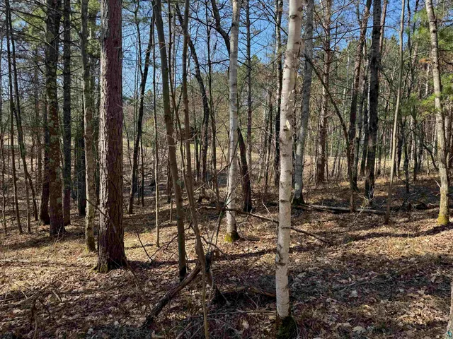 $39,900 | 5-acres On Spring Lake Road, Trego, WI 54888