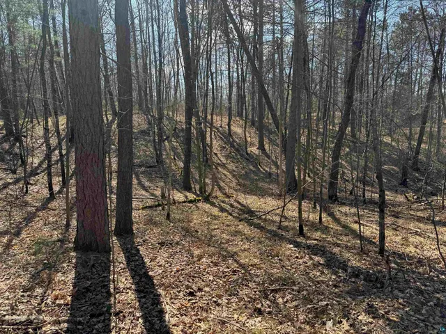 $39,900 | 5-acres On Spring Lake Road, Trego, WI 54888