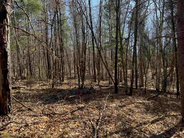 $35,000 | 5-acres On Spring Lake Road, Trego, WI 54888