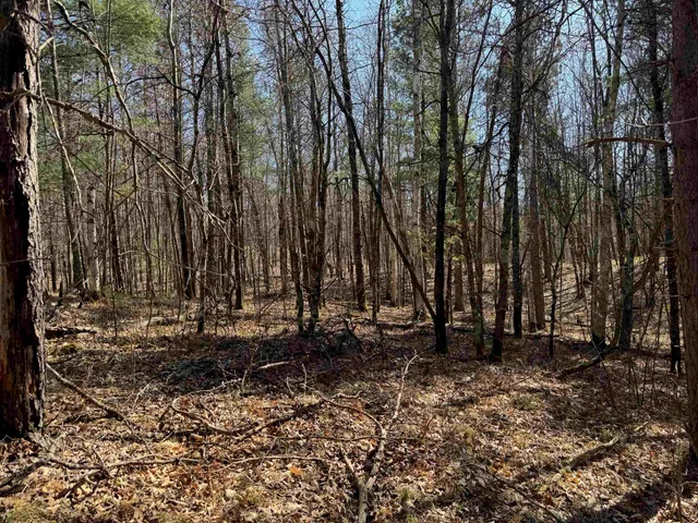 $39,900 | 5-acres On Spring Lake Road, Trego, WI 54888