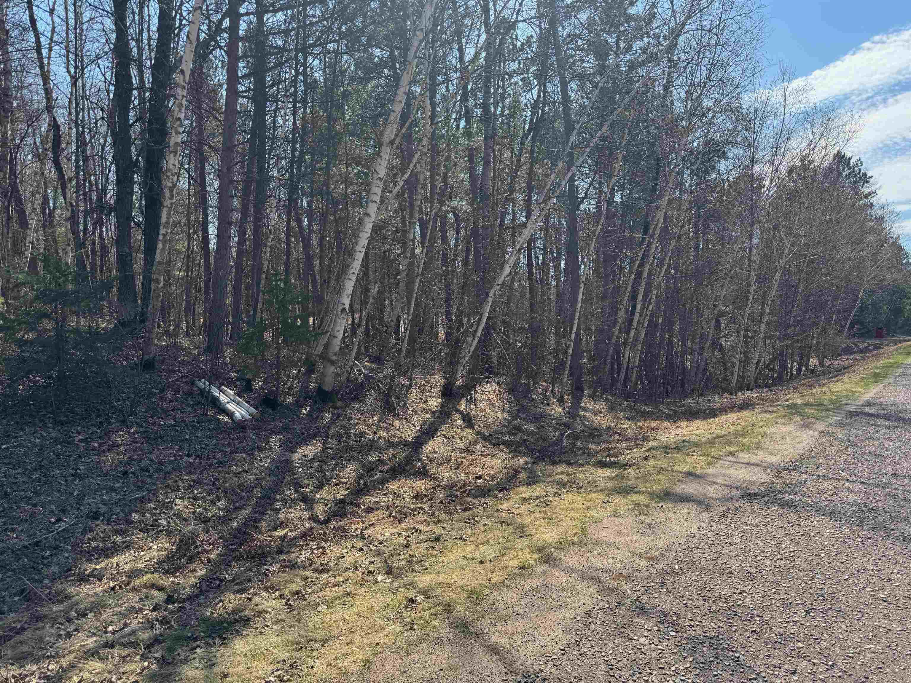 5-acres On Spring Lake Road Trego, WI 54888 - Photo 15 of 16 View of road with a wooded view