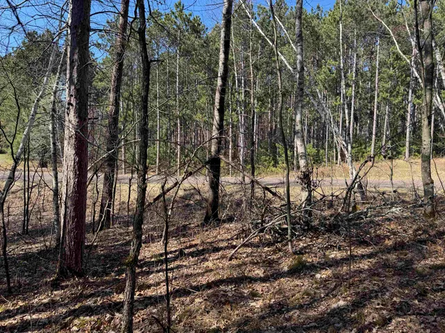 $39,900 | 5-acres On Spring Lake Road, Trego, WI 54888