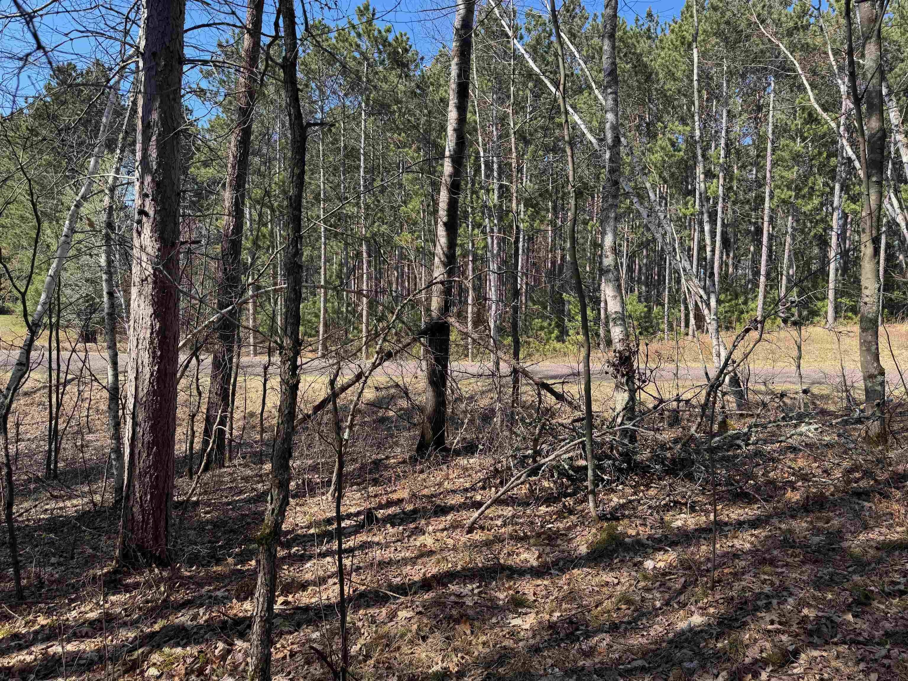 5-acres On Spring Lake Road Trego, WI 54888 - Photo 7 of 16 View of nature