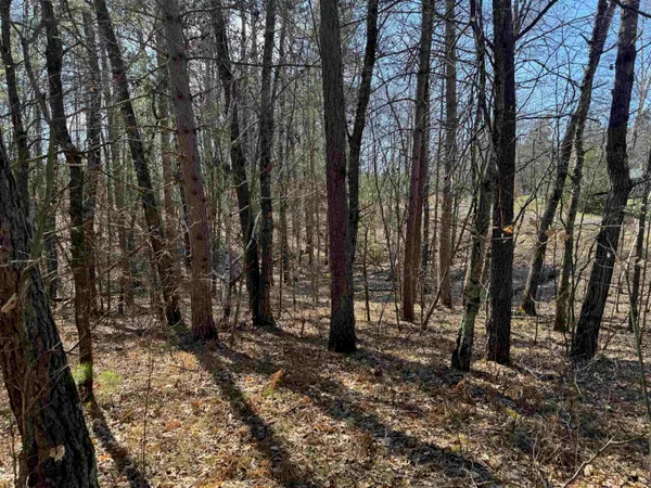 $35,000 | 5-acres On Spring Lake Road, Trego, WI 54888