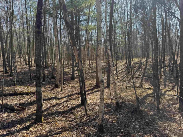 $39,900 | 5-acres On Spring Lake Road, Trego, WI 54888