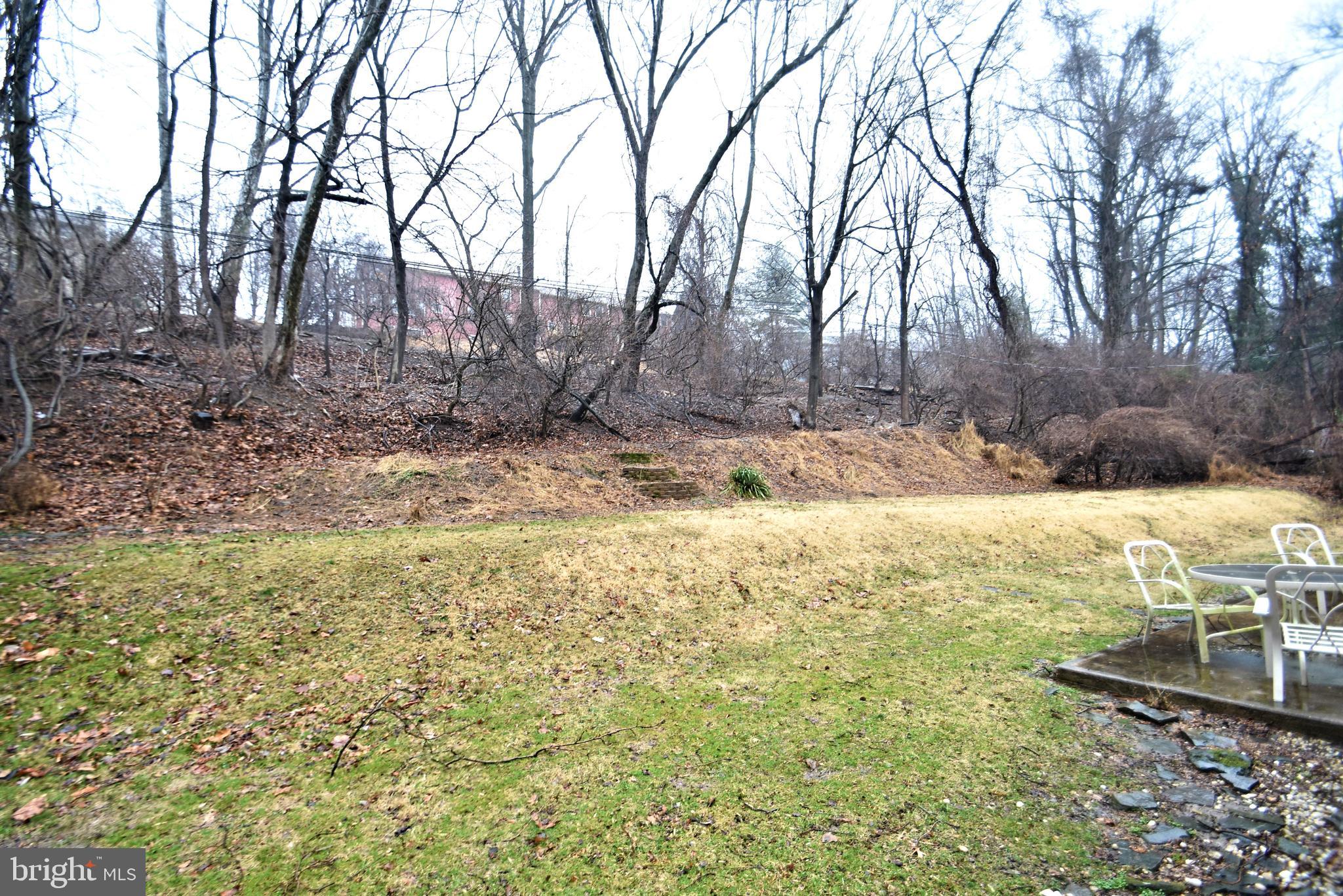 8627 Patton Road Wyndmoor, PA 19038 - Photo 31 of 31 Backyard