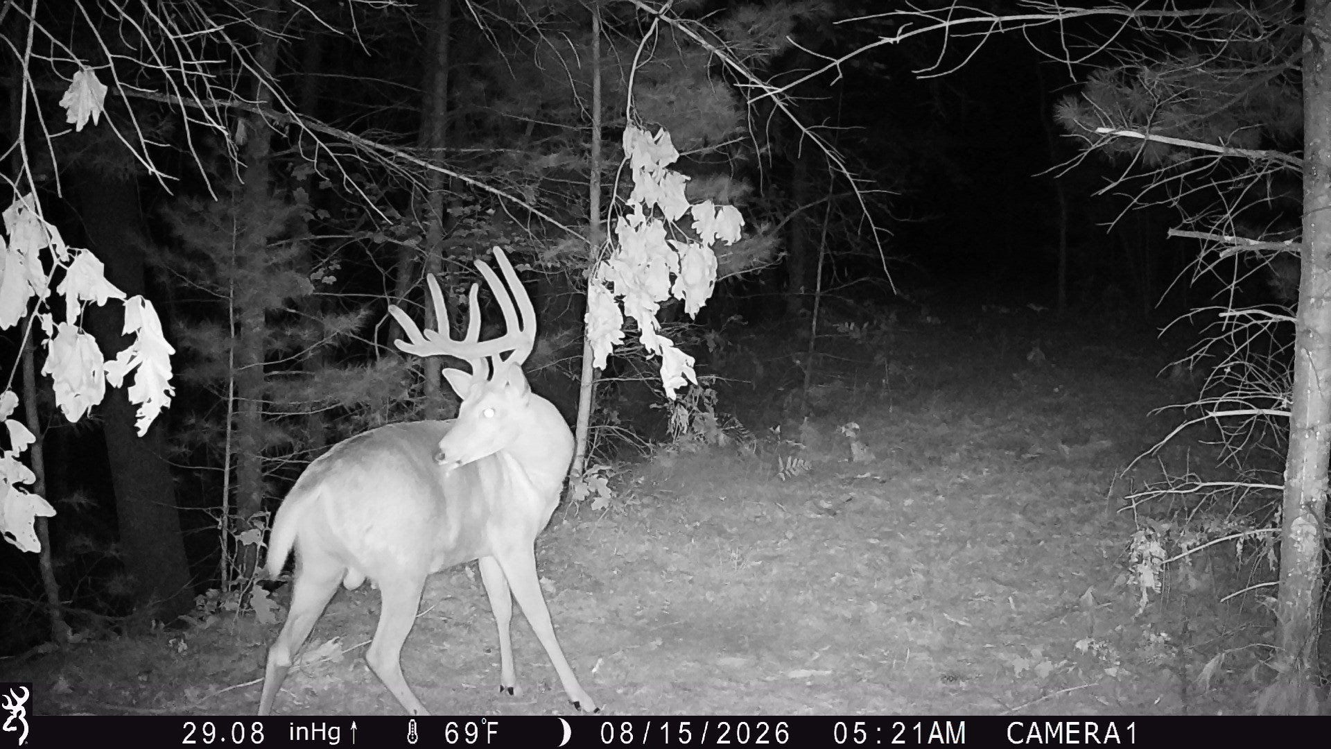 S3678 County Road North Augusta, WI 54722 - Photo 11 of 34 Gallery Image 11