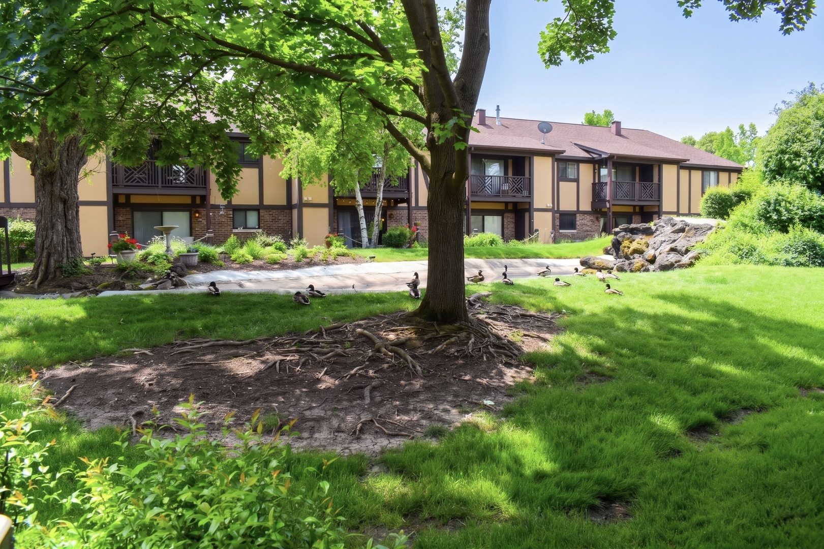 890 Sheldon Court, Unit D Wheaton, IL 60189 - Photo 11 of 12
