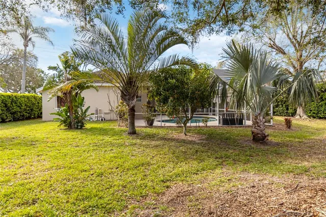 a bird view of a garden