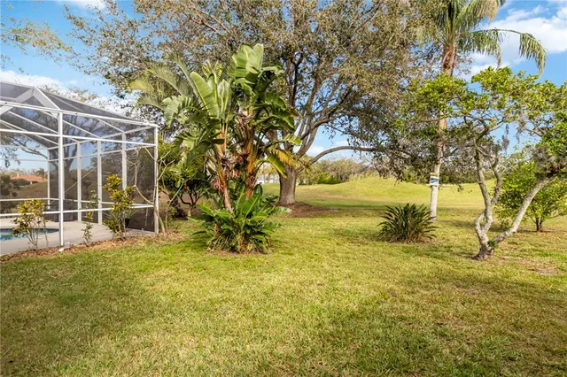 a view of a garden with plants and large trees