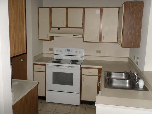 2048 North Rand Road, Unit 102 Palatine, IL 60074 - Photo 6 of 10