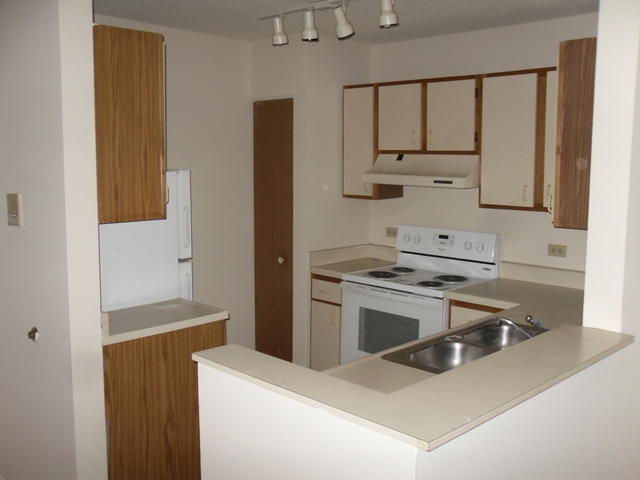 2048 North Rand Road, Unit 102 Palatine, IL 60074 - Photo 7 of 10