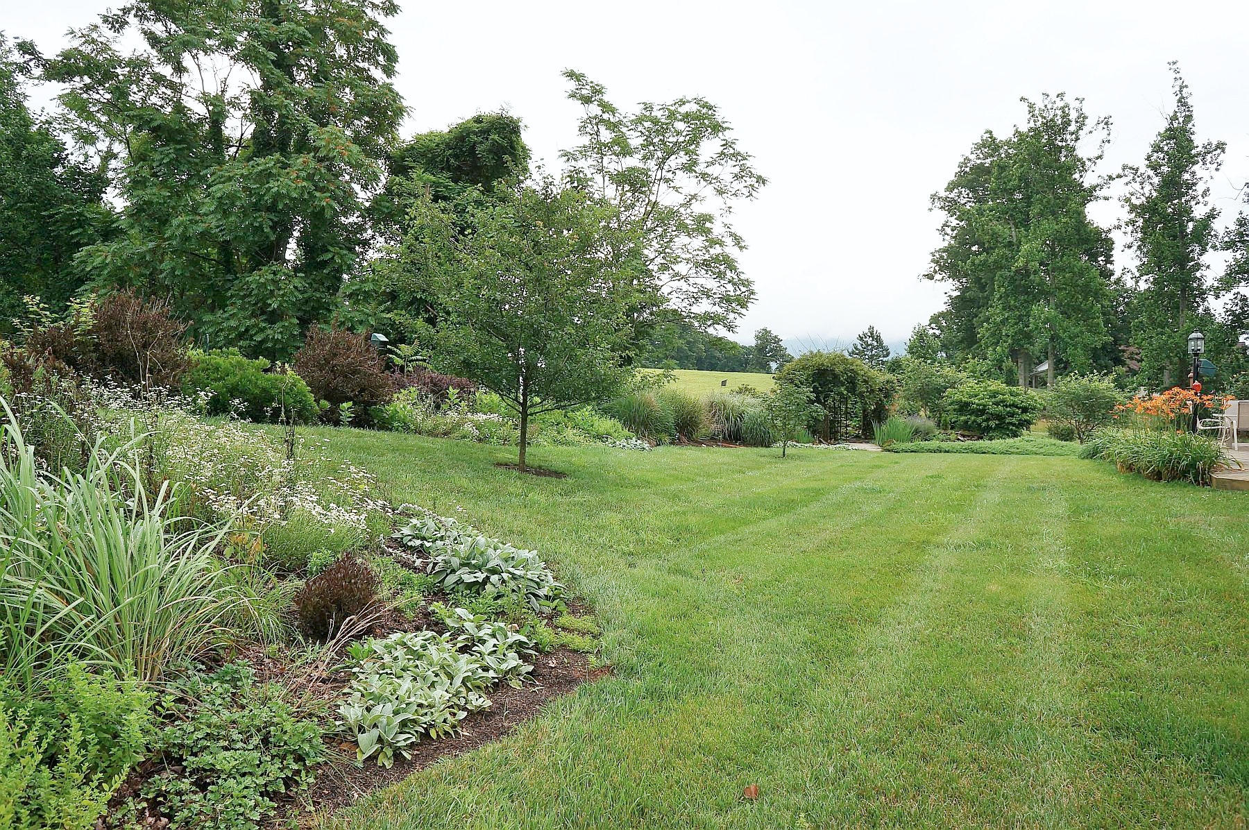 25 Claybrook Court Blue Ridge, VA 24064 - Photo 69 of 81 dsc01185