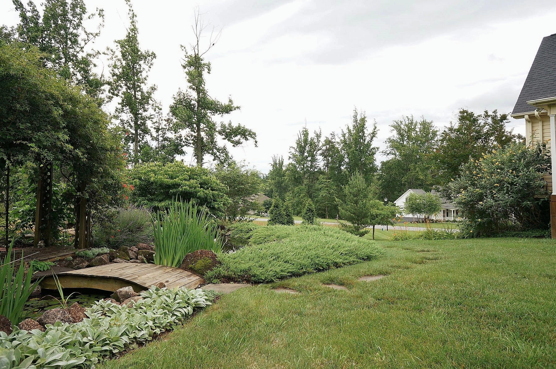 25 Claybrook Court Blue Ridge, VA 24064 - Photo 75 of 81 a view of a garden with plants and large trees