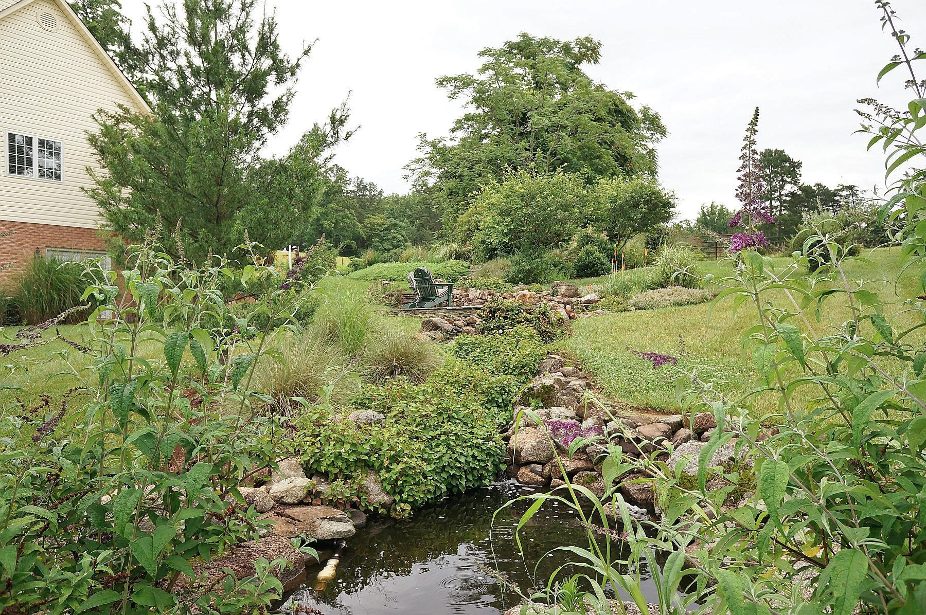 25 Claybrook Court Blue Ridge, VA 24064 - Photo 79 of 81 a view of a garden with a tree
