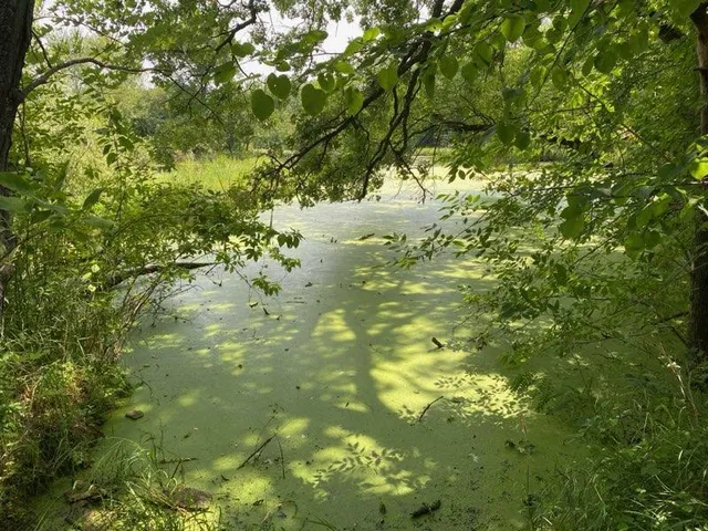 $172,000 | 18651 Ogden Street Northwest, Elk River, MN 55330