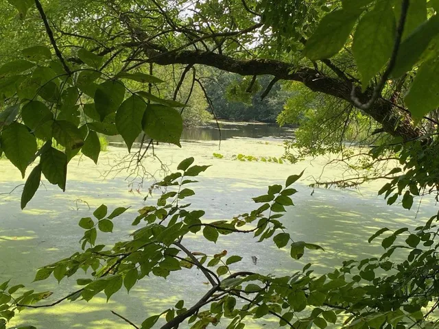 $172,000 | 18651 Ogden Street Northwest, Elk River, MN 55330