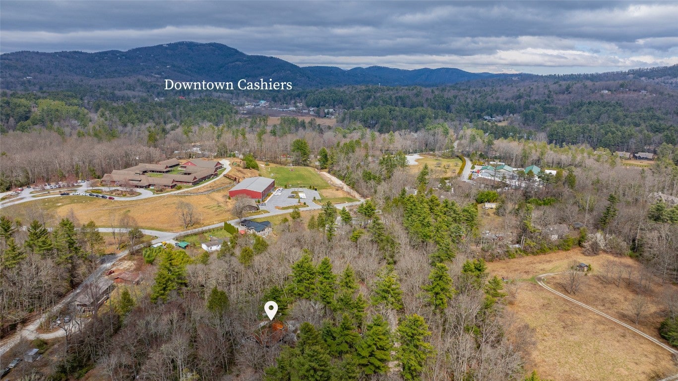 140 Timber Ridge Drive Cashiers, NC 28717 - Photo 10 of 61 Gallery Image 10