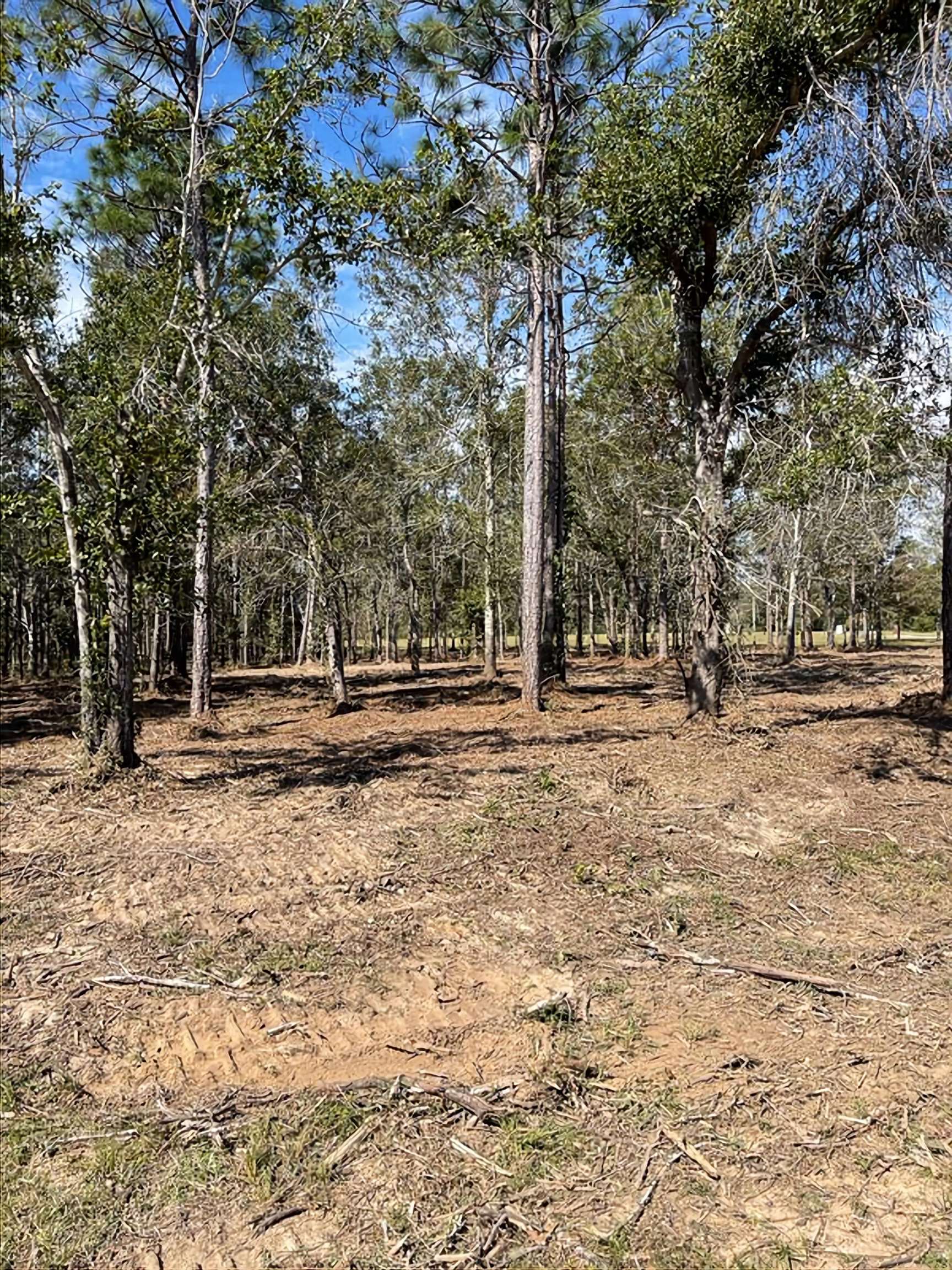 Lot 2 Tarklin View Drive Lillian, AL 36549 - Photo 20 of 21