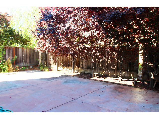 712 Superior Road Milpitas, CA 95035 - Photo 19 of 20 a view of outdoor space with trees