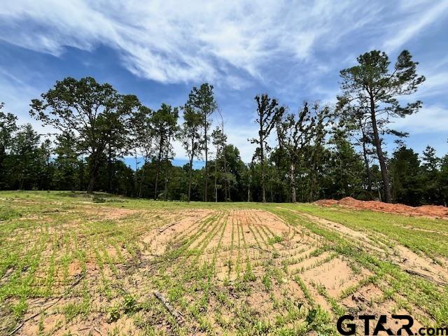 0 Fm 2767 Tyler Tx 75707