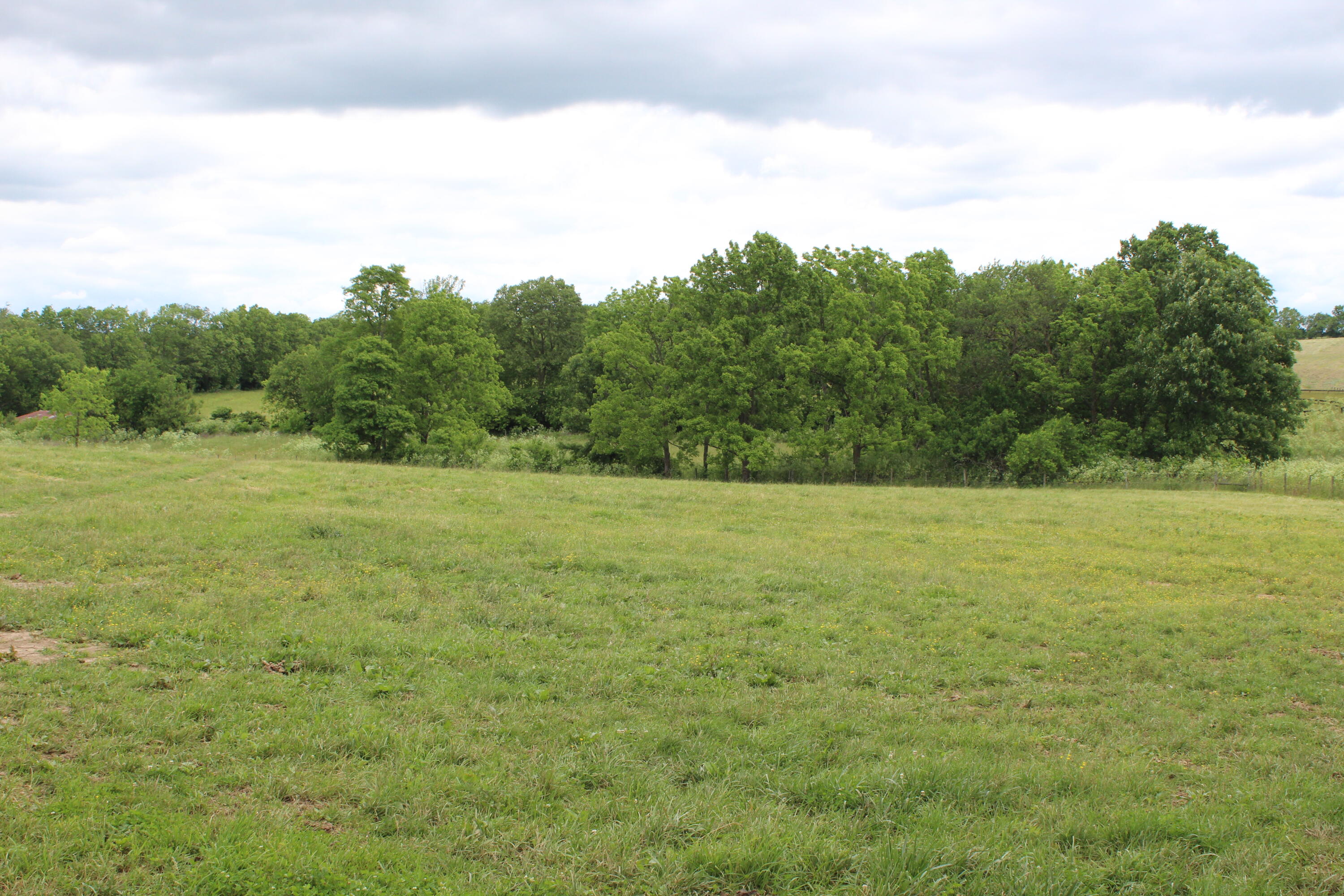 187 Jackstown Road Paris, KY 40361 - Photo 1 of 18 IMG_2763
