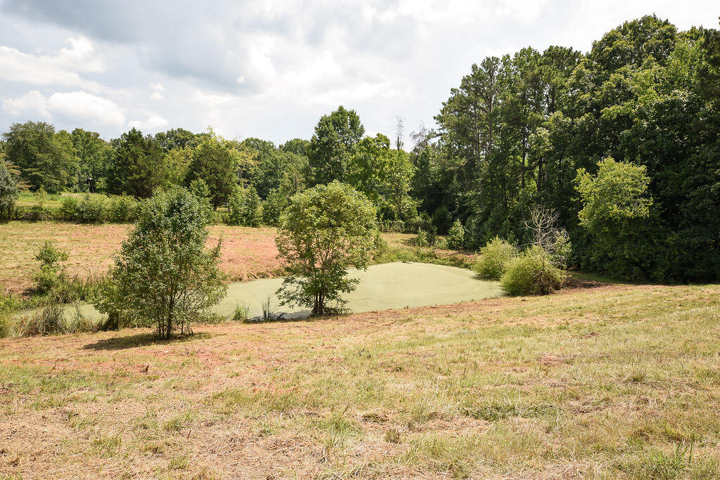 238 Van Davis Road Georgetown, TN 37336 - Photo 15 of 34 DSC_1799