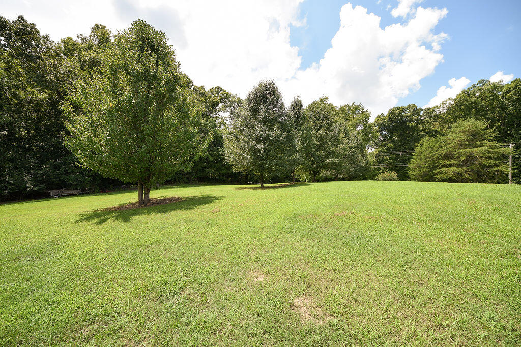 238 Van Davis Road Georgetown, TN 37336 - Photo 10 of 34 DSC_1800