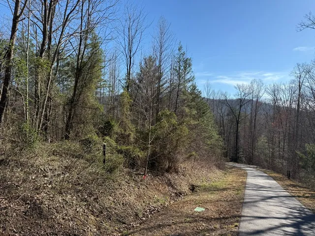 $15,000 | 0 Chimney Top Trail, Murphy, NC 28906