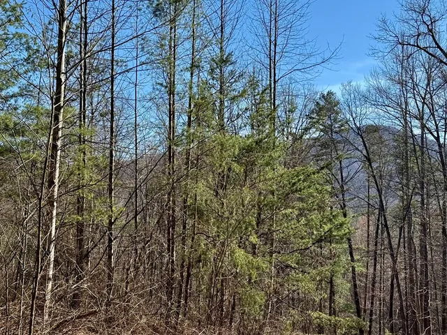 $15,000 | 0 Chimney Top Trail, Murphy, NC 28906