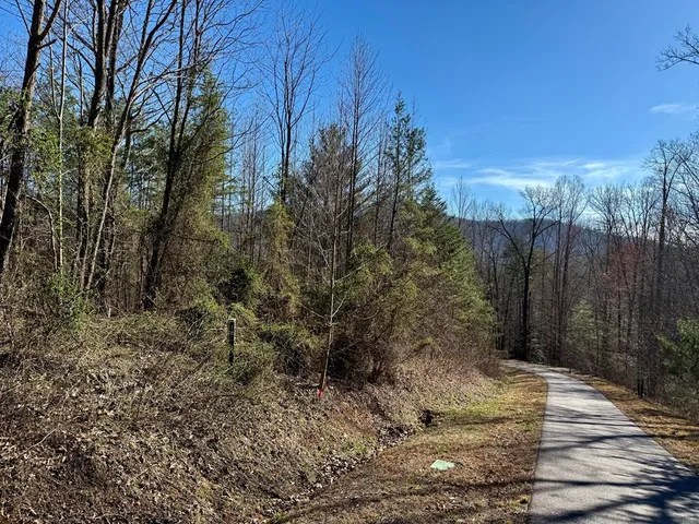 $15,000 | 0 Chimney Top Trail, Murphy, NC 28906
