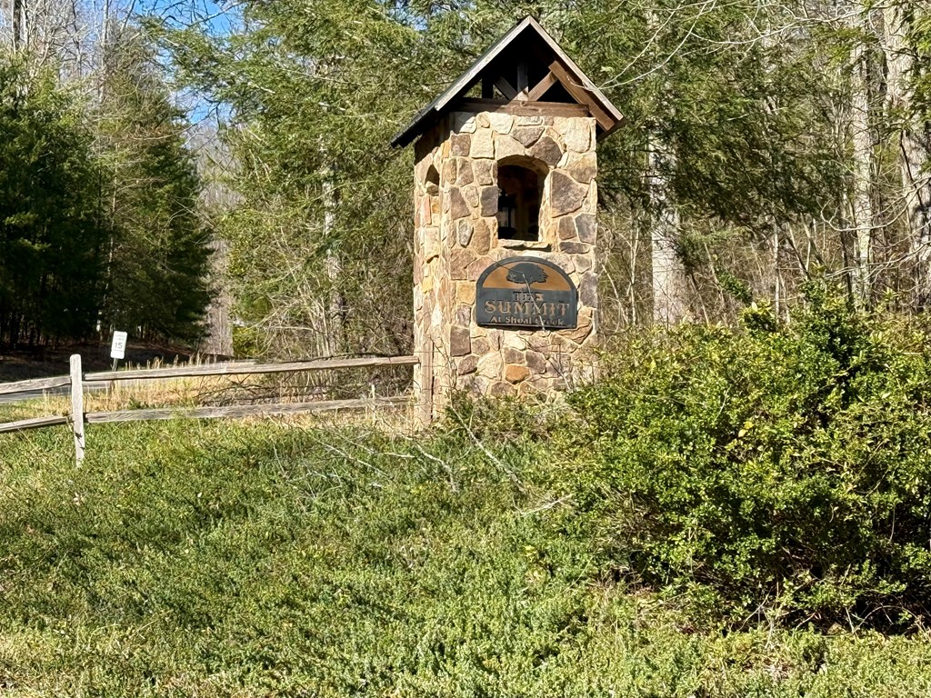 0 Chimney Top Trail Murphy, NC 28906 - Photo 6 of 6