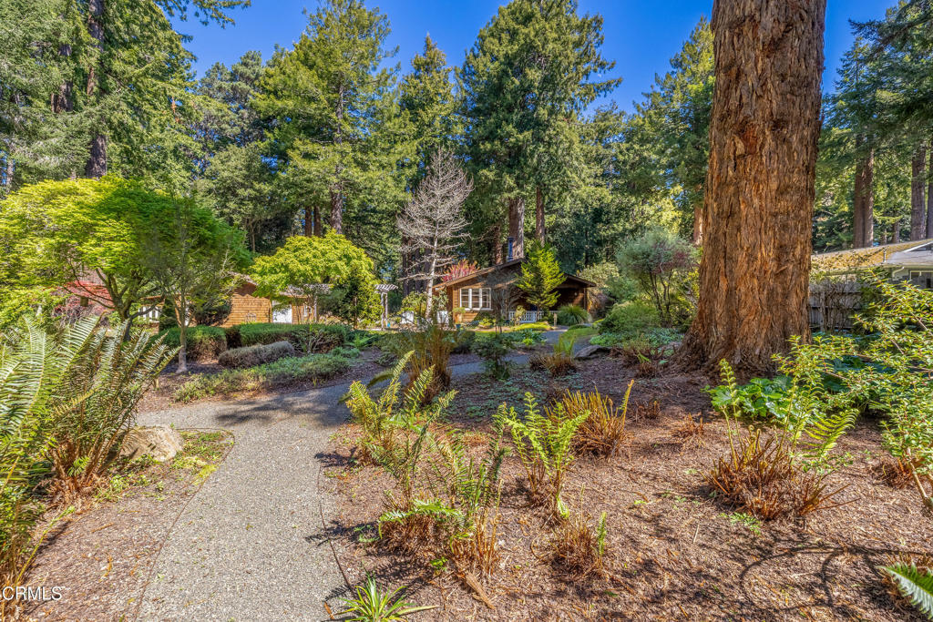 32450 Simpson Lane Fort Bragg, CA 95437 - Photo 52 of 54 a backyard of a house with a yard and outdoor seating
