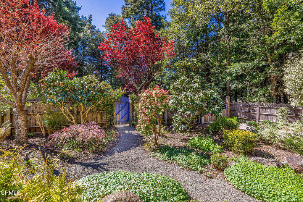 32450 Simpson Lane Fort Bragg, CA 95437 - Photo 53 of 54 a backyard of a house with lots of green space