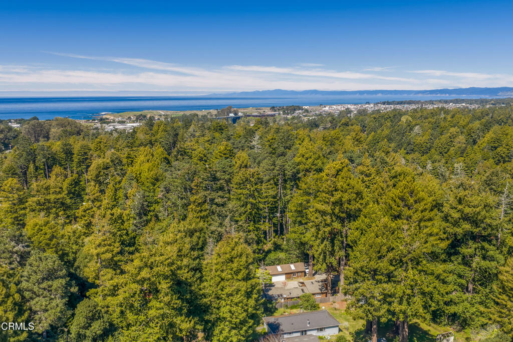 32450 Simpson Lane Fort Bragg, CA 95437 - Photo 54 of 54 a view of a yard with an outdoor space