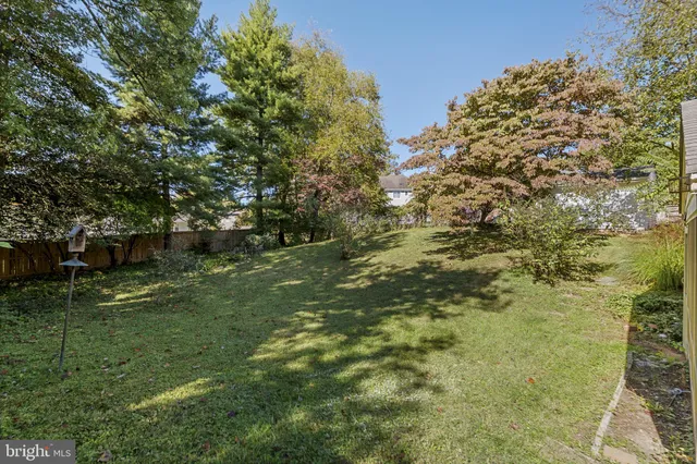 a view of a trees with a yard