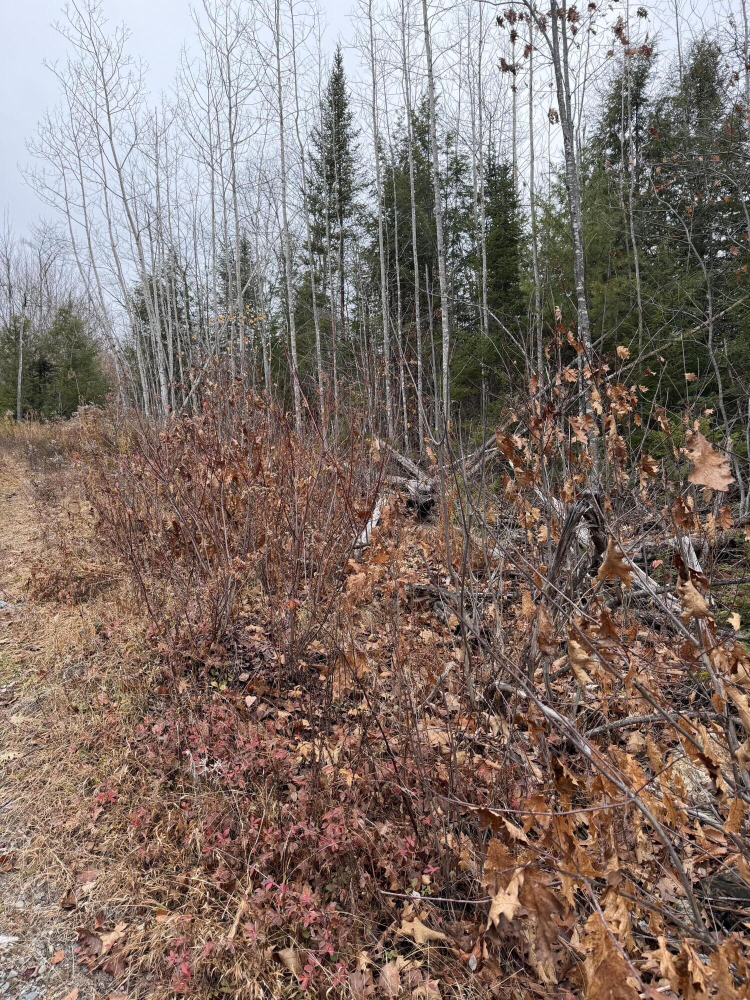 M5-l27 Pond Road Abbot, ME 04406 - Photo 14 of 15