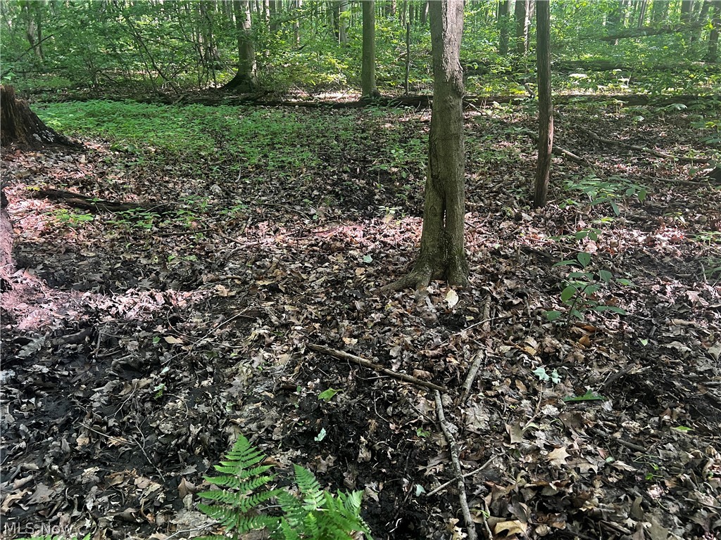 Yale Road Atwater, OH 44201 - Photo 5 of 22
