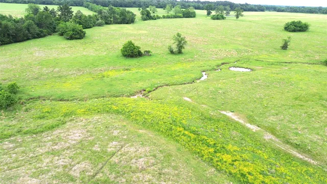 $1,050,000 | 5189 County Road 4550, Pennington, TX 75856