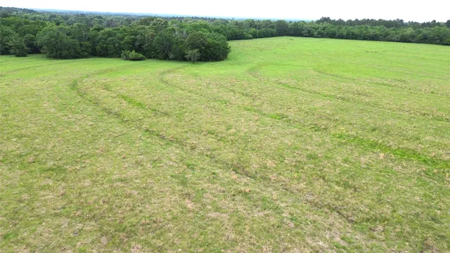 $1,050,000 | 5189 County Road 4550, Pennington, TX 75856